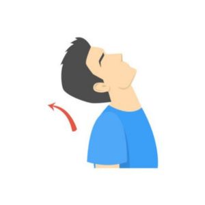 Cabeza y Cuello